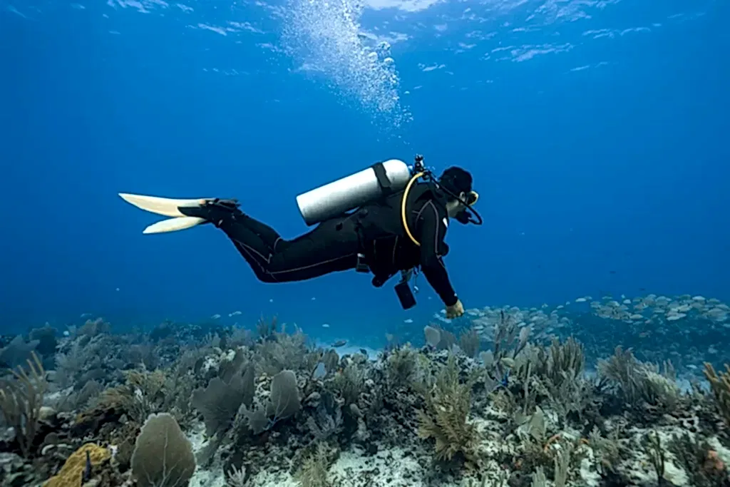 Fethiye Tüplü Dalış Fiyatları ve Firmaları