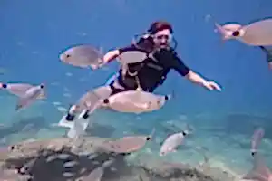 Fethiye Tüplü Dalış Turu SSS 15 Soru