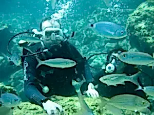 Fethiye Tüplü Dalış Turu
