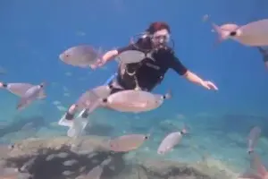 Ölüdeniz Tüplü Dalış - Eğitmenli&nbsp;
