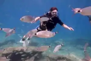 Fethiye Tüplü Dalış Turu