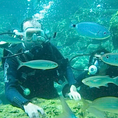 Ölüdeniz Tüplü Dalış